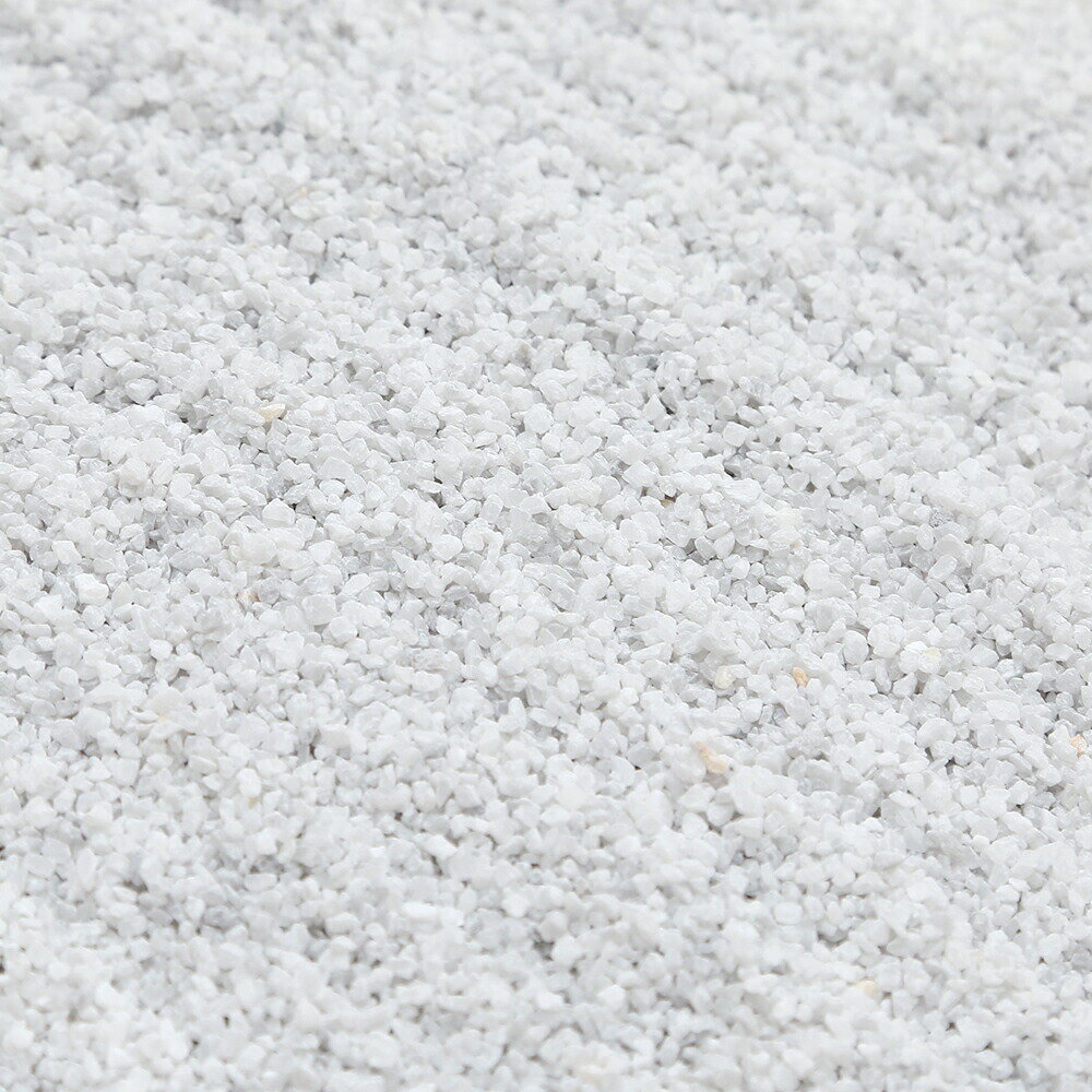 Floor - コーラルカルシウムサンド　1kg　ミディアム（＃3）　海水水槽用底砂