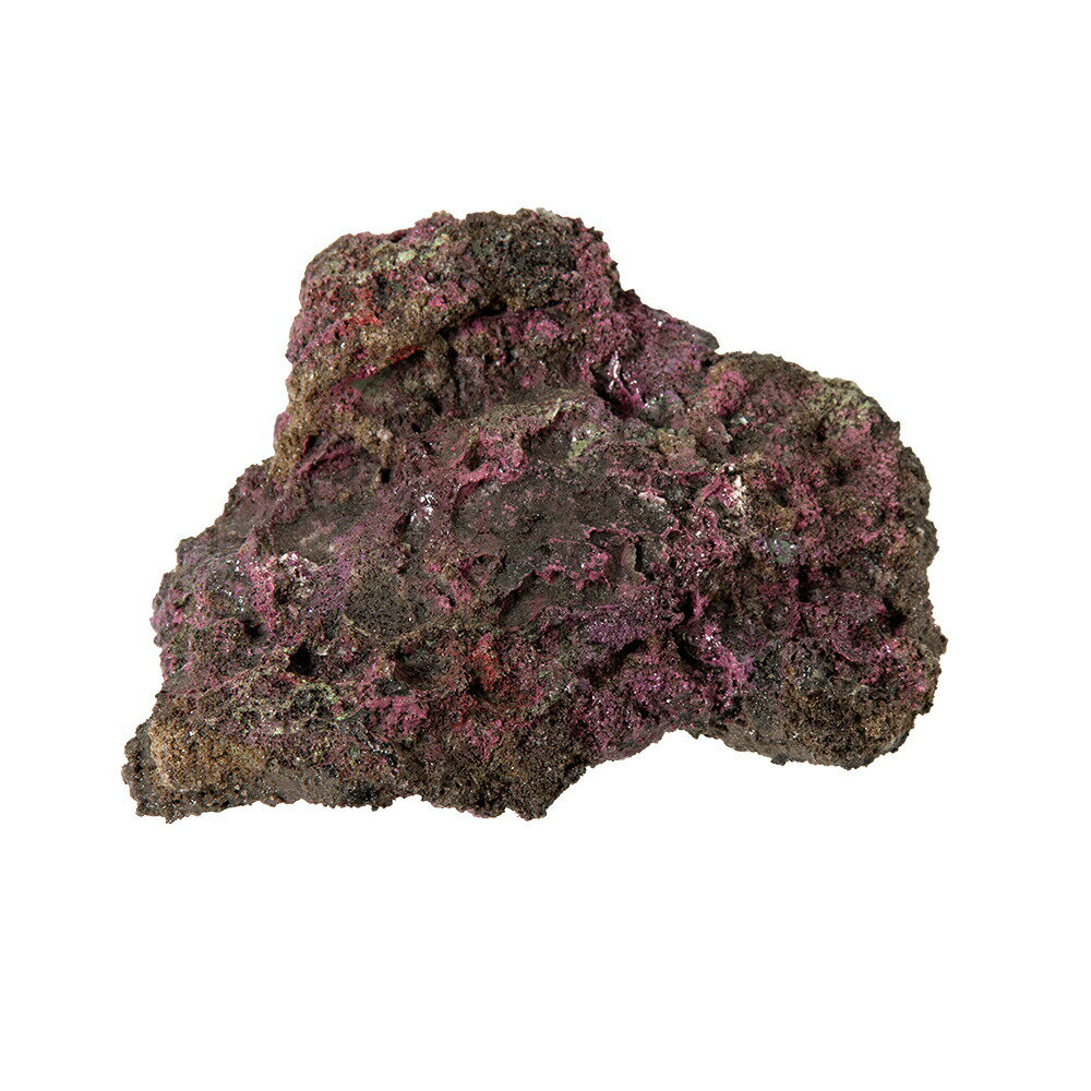 ORCA��OCEAN��ROCK��mini��16��16��13��8cm���饤�֥��å���ץꥫ