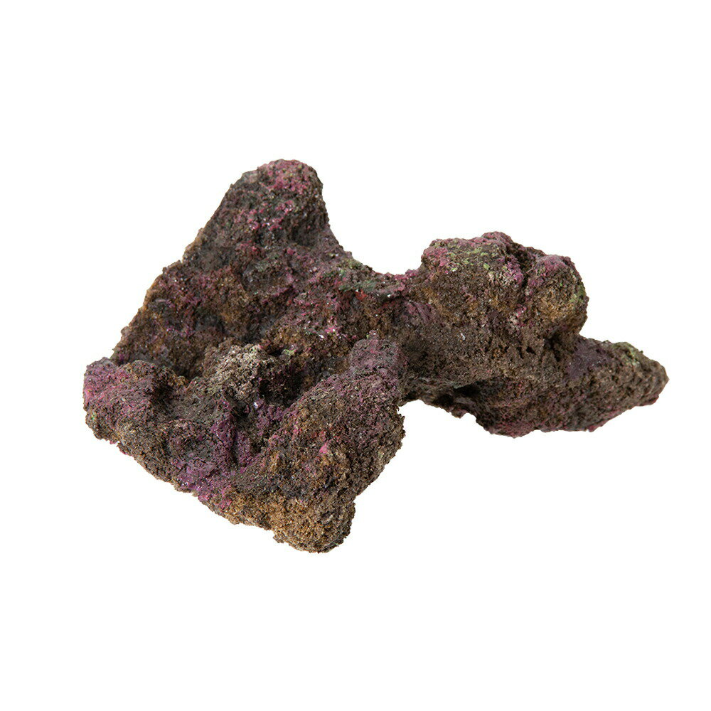 バクテリアがつけばもうライブロック！ ORCA　OCEAN　ROCK　mini♯20 対象 海水水槽 特長 ●レイアウトしやすいリアルな形状・色・質感のライブロックレプリカです。 ●水質に影響を与えず、生き物に安全！多孔質でバイオフィルターとしても最適です。 ●天然ライブロックより約30％軽量です。 ●世界のサンゴ礁に影響を与えない環境に配慮した製品です。 数量 1個 サイズ（約） 17×15×7cm 素材 特殊な樹脂と炭酸カルシウムの混合物 生産国 インドネシア ご注意 ※本品はアクアリウム用品です。目的以外の用途では使用しないでください。 ※ATSの製品はハンドメイドで製造されているため、サイズに誤差が生じる場合がございます。 ※本品は、色の違いや配達時などに割れや欠けが生じる場合がございますが製品の特性上、避けられないものです。予めご了承ください。 ※本品とプロテインスキマーを併用すると、使用開始初期の段階で多少のオーバースキミングが発生する場合があります。 検索用キーワードORCA　OCEAN　ROCK　mini♯20　17×15×7cm　4540103600357　20221121　y22m11　mura　アクアリウム　アクアリウム用品　アクア用品　海水用品　海水　人工　ライブロック　レプリカ　レイアウト　アクセサリー　リアル　多孔質　バイオフィルター　軽量　ミニ　オルカ　オーシャンロック　ATS　MMC　エムエムシー企画　レッドシー