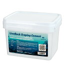 LiveRock ScapingCement 450×2袋