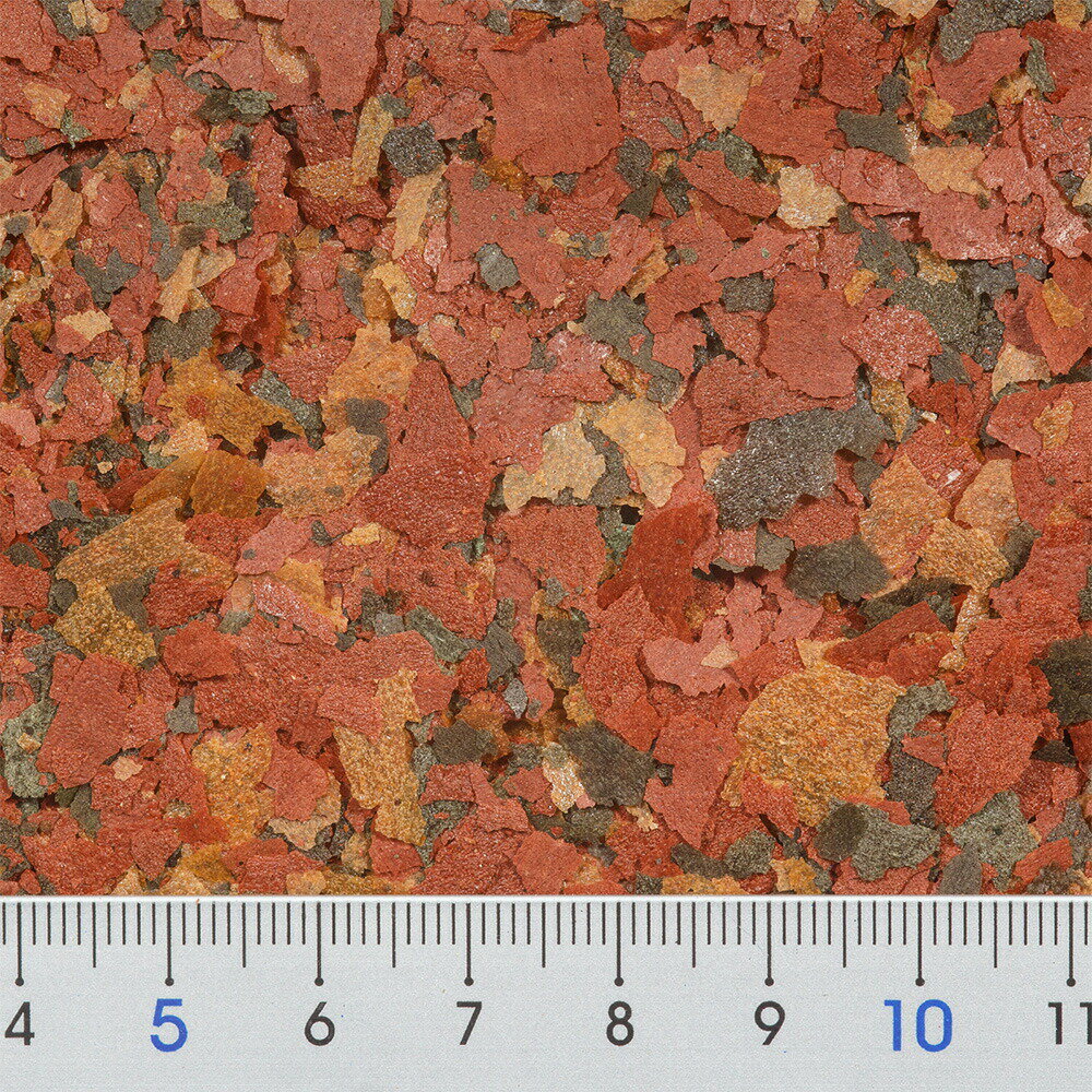 �ϥ������ե��å���ա��ɡ����顼�ץ饹�ե졼����40g��ŷ�����Ȥ������ա��ɡ�Ǯ�ӵ�����