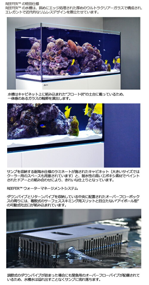 ��åɥ�����REEFER��NANO���֥�å��������С��ե������塡3�ĸ���45cm�����1���åȡ�