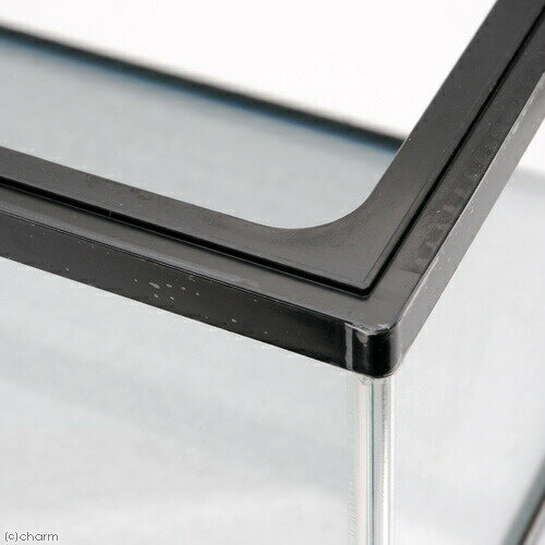 �˥å����������夦��NS��6MKF�����������