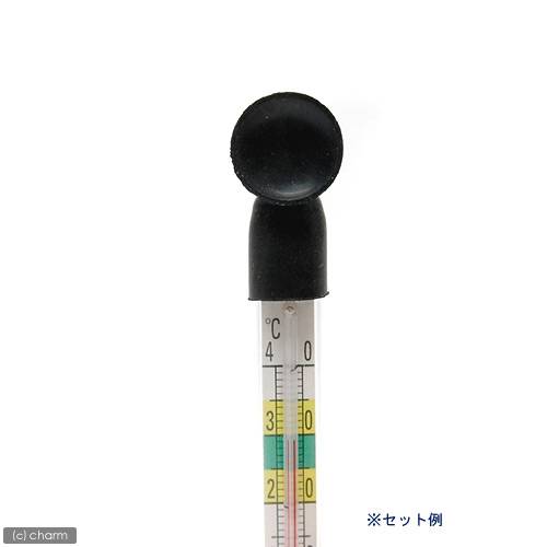 �˥å������岹���ѡ�����åץ������ࡡS��M���������ʹ��ˡ�NAE��204�������ե���åס�2��