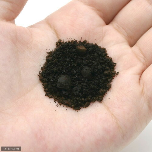 ������ե�����250ml��ø�塦������