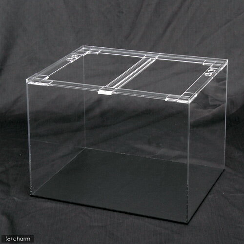 水槽　アクリル水槽　アクリルクリアタンク　底面板黒（600×300×360mm・板厚4×4×5mm）　60cm水槽