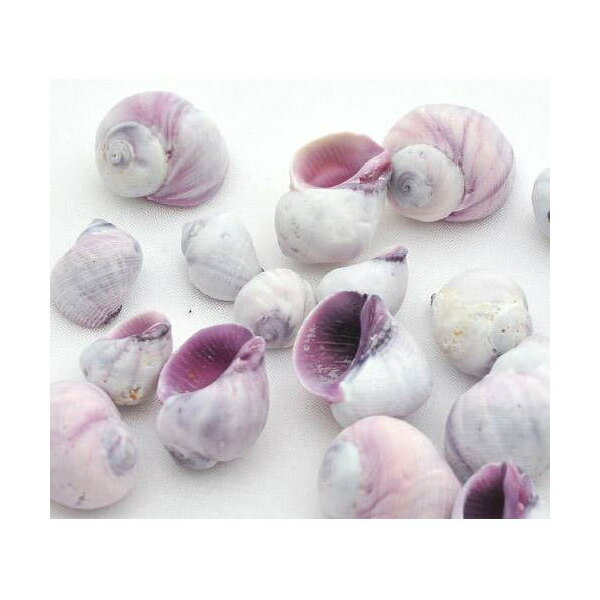 画像は、イメージサンプルとなります。画像と形状・サイズ・色合いが異なる場合がありますが、こちらについては返品・交換の対象外となりますのでご了承ください。形状お任せの商品につきましては、サイズや個数の指定はお受けできません。また、天然採取による貝の貝殻のため、形状・サイズ・色合いはまちまちとなります。なお、自然の貝殻のため貝殻に小さな穴が開いているものも含まれます。予めご了承ください。水中アクセサリーやヤドカリの引越し先に最適！シェルコレクション　パープルシェル　100g内容量100gサイズ殻長約1〜3cm程度となります。商品について※画像はイメージサンプルとなります。※画像と形状・サイズ・色合いが異なる場合がありますが、こちらについては返品・交換の対象外となりますのでご了承ください。※形状お任せの商品につきましては、サイズや個数の指定はお受けできません。　また、天然採取による貝の貝殻のため、形状・サイズ・色合いはまちまちとなります。　なお、自然の貝殻のため貝殻に小さな穴が開いているものも含まれます。予めご了承ください。検索用キーワードアクアリウム用品　_animal　_insect　◎　_interior　パープルシェル　50g　100g　貝殻　インテリア　雑貨　アクア用品　水中アクセサリー　_aqua　int_kaigara　kaisui74　ハンドメイド　シェルリース　ハンドクラフト　手作り　パーツ　材料　hwlist　YKR　okayadokarishell　hermitcrabcollection　shellpc