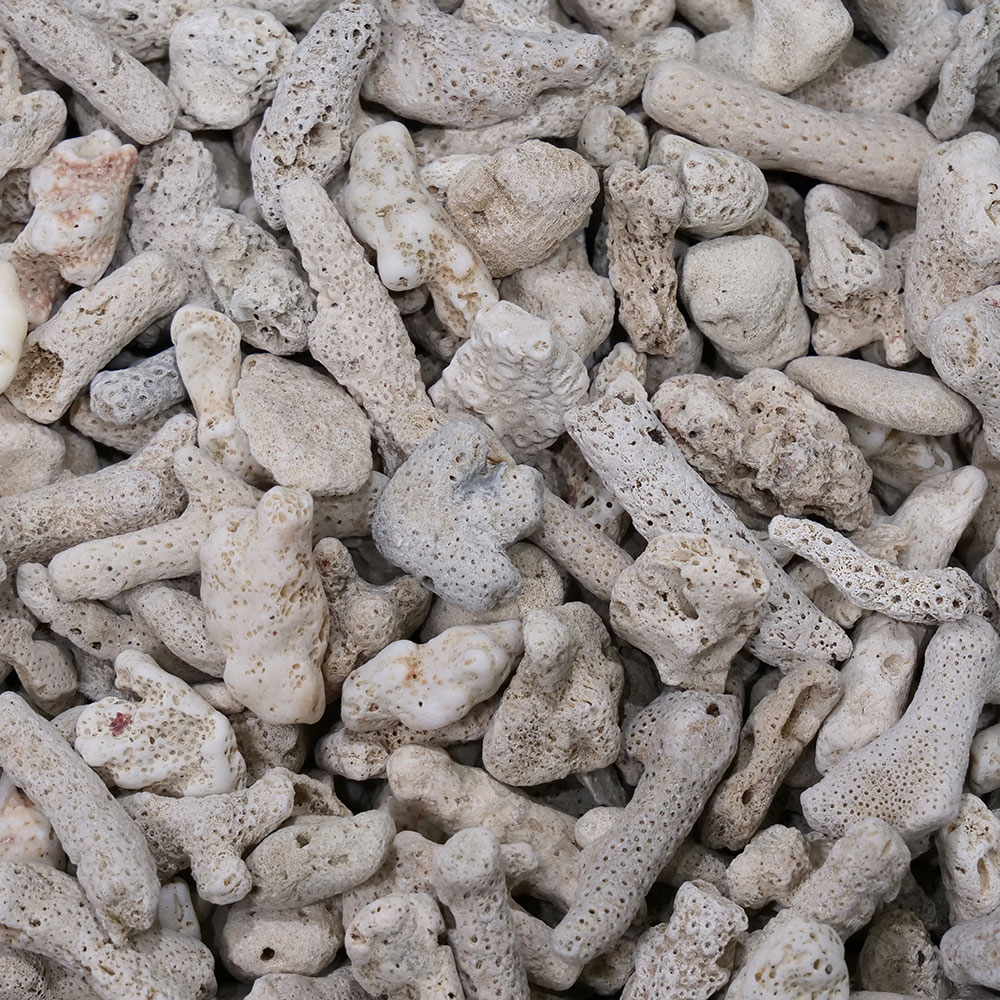 コーラルボーン　#25　20kg　サンゴ砂　リーフタンク向け底床　粗目