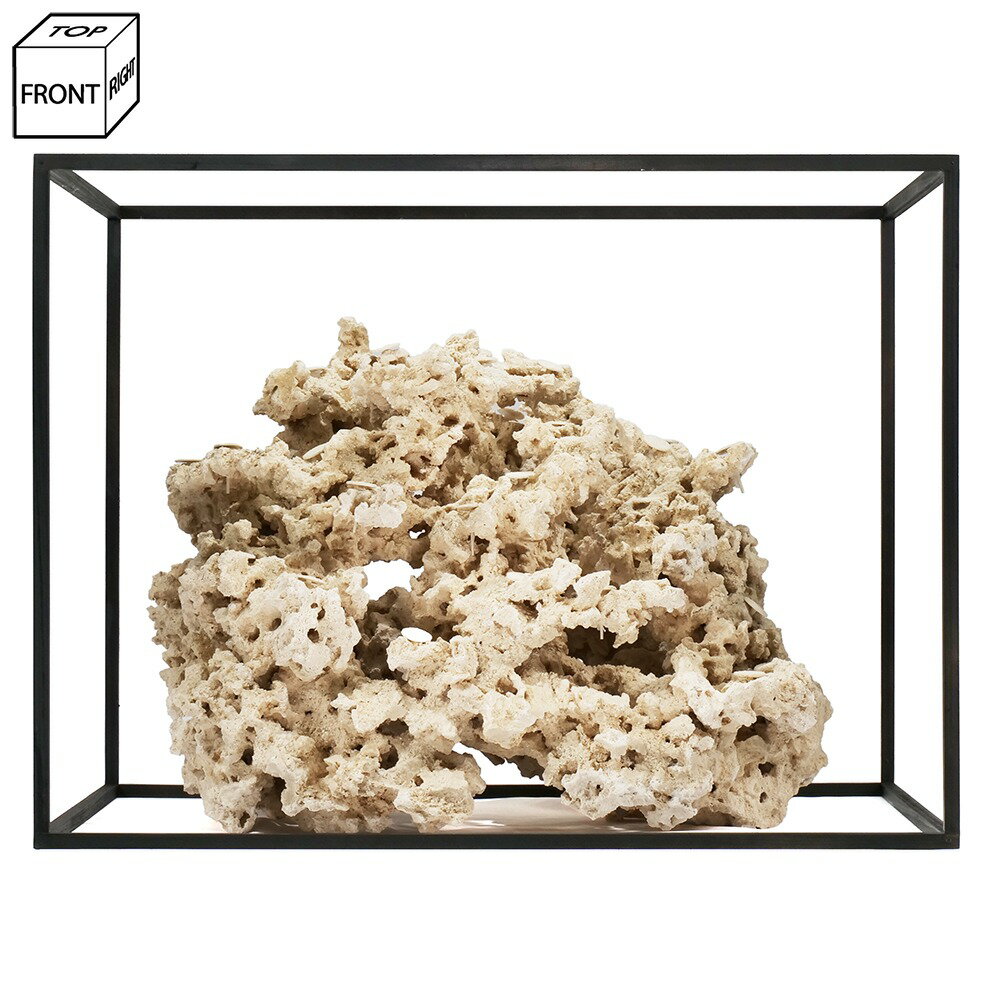 ����ʪ���ޥ륳���å�����������ե饰�١�����541703�����������å�����������ѡ��������С��ǥ����å������Х���