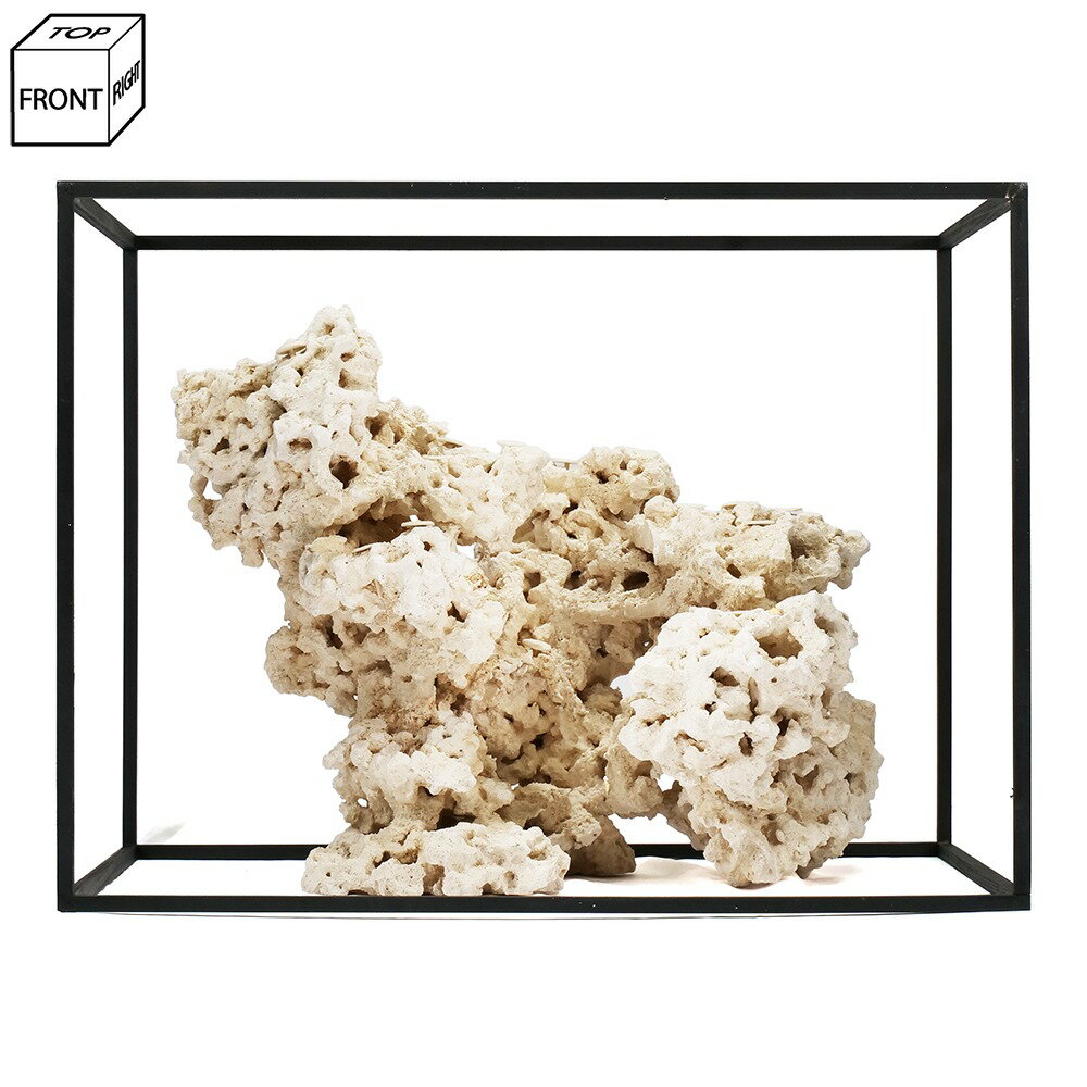 ����ʪ���ޥ륳���å�����������ե饰�١�����541704�����������å�����������ѡ��������С��ǥ����å������Х���