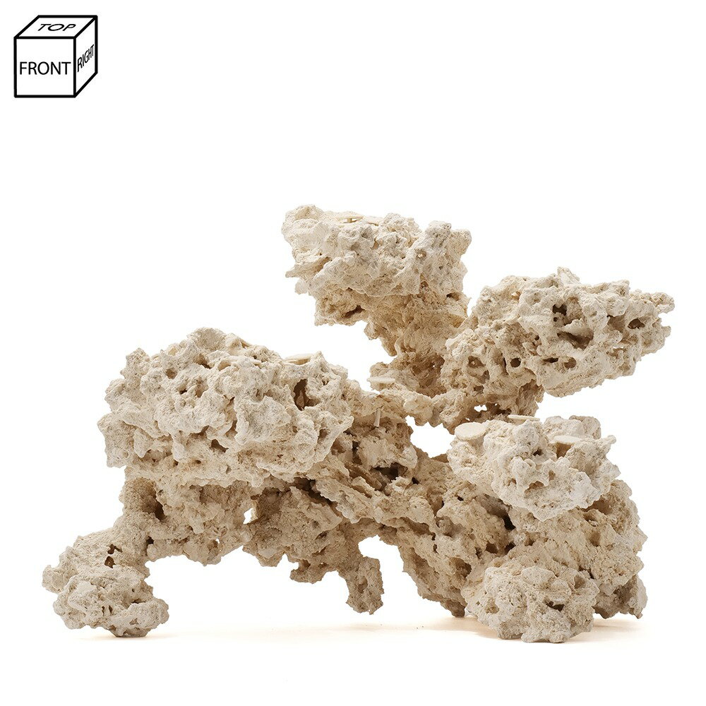 ����ʪ���ޥ륳���å�����������ե饰�١�����541724�����������å�����������ѡ��������С��ǥ����å������Х���