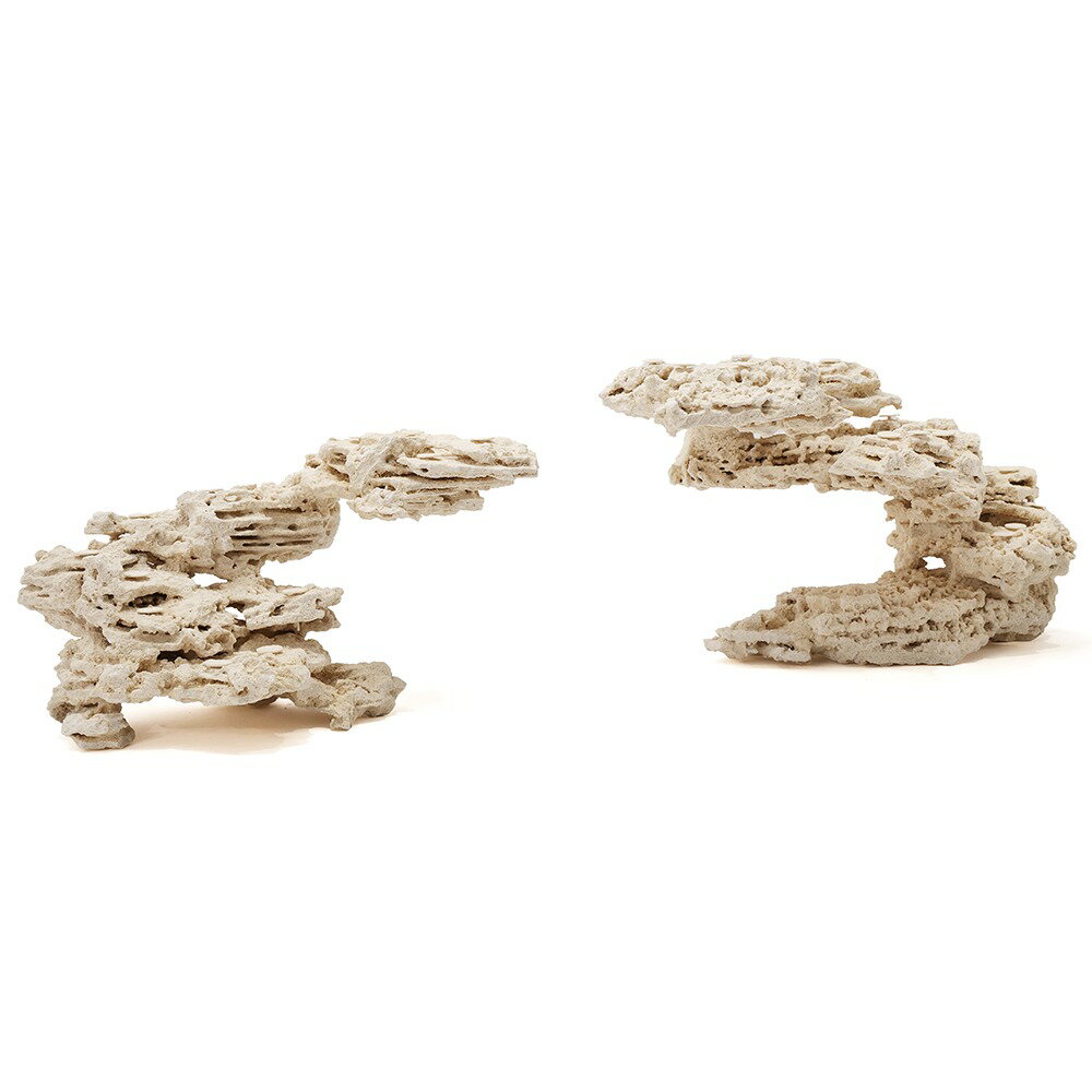 ����ʪ���ޥ륳���å�����������ե饰�١�����2�ĥ��åȡ�541739�����������å�����������ѡ��������С��ǥ����å������Х���