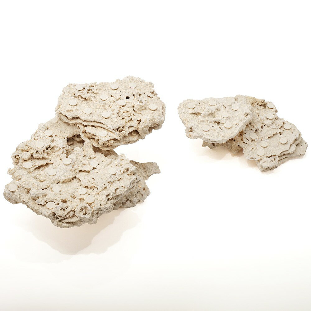 ����ʪ���ޥ륳���å�����������ե饰�١�����2�ĥ��åȡ�541740�����������å�����������ѡ��������С��ǥ����å������Х���