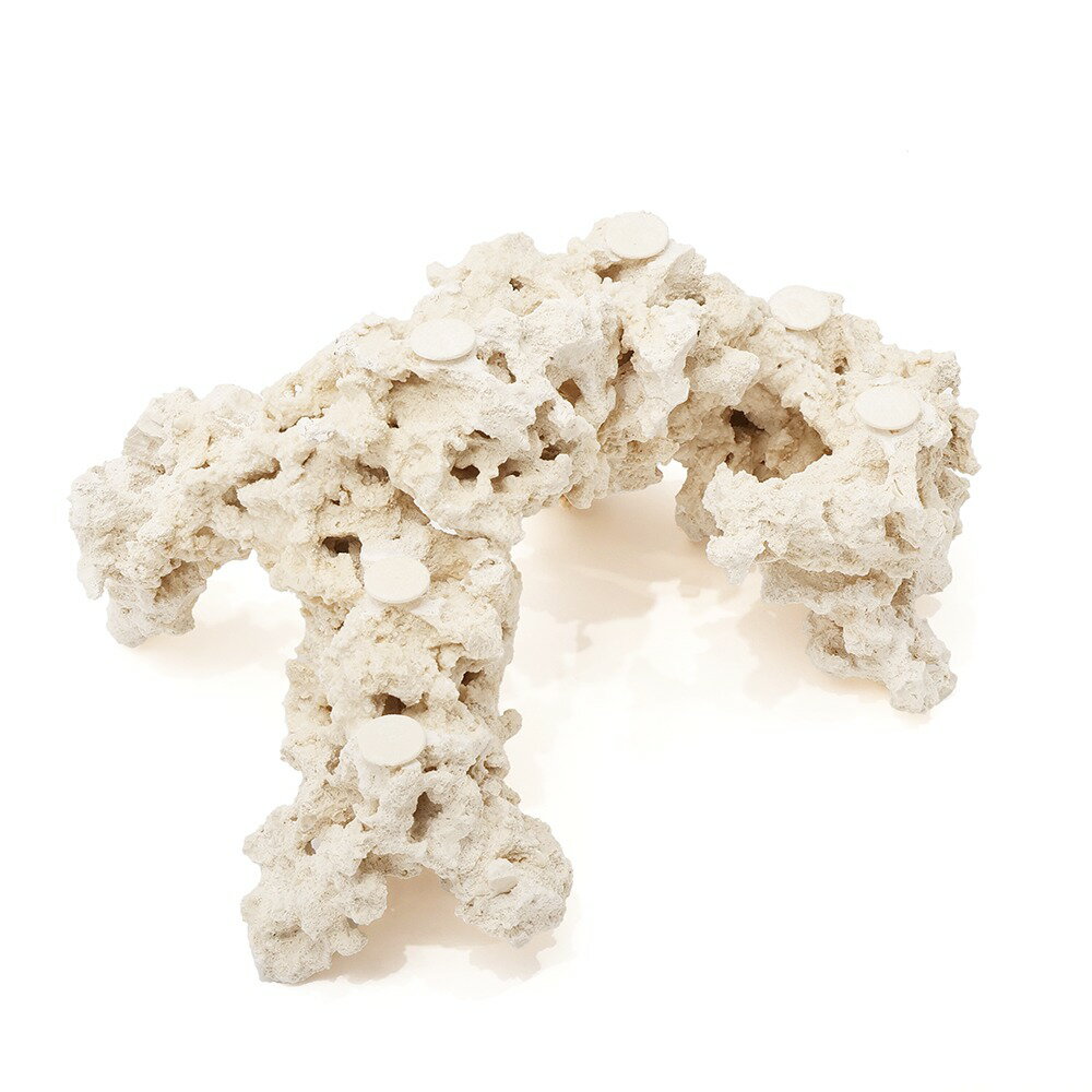 ����ʪ���ޥ륳���å�����������ե饰�١�����541771�����������å�����������ѡ��������С��ǥ����å������Х���