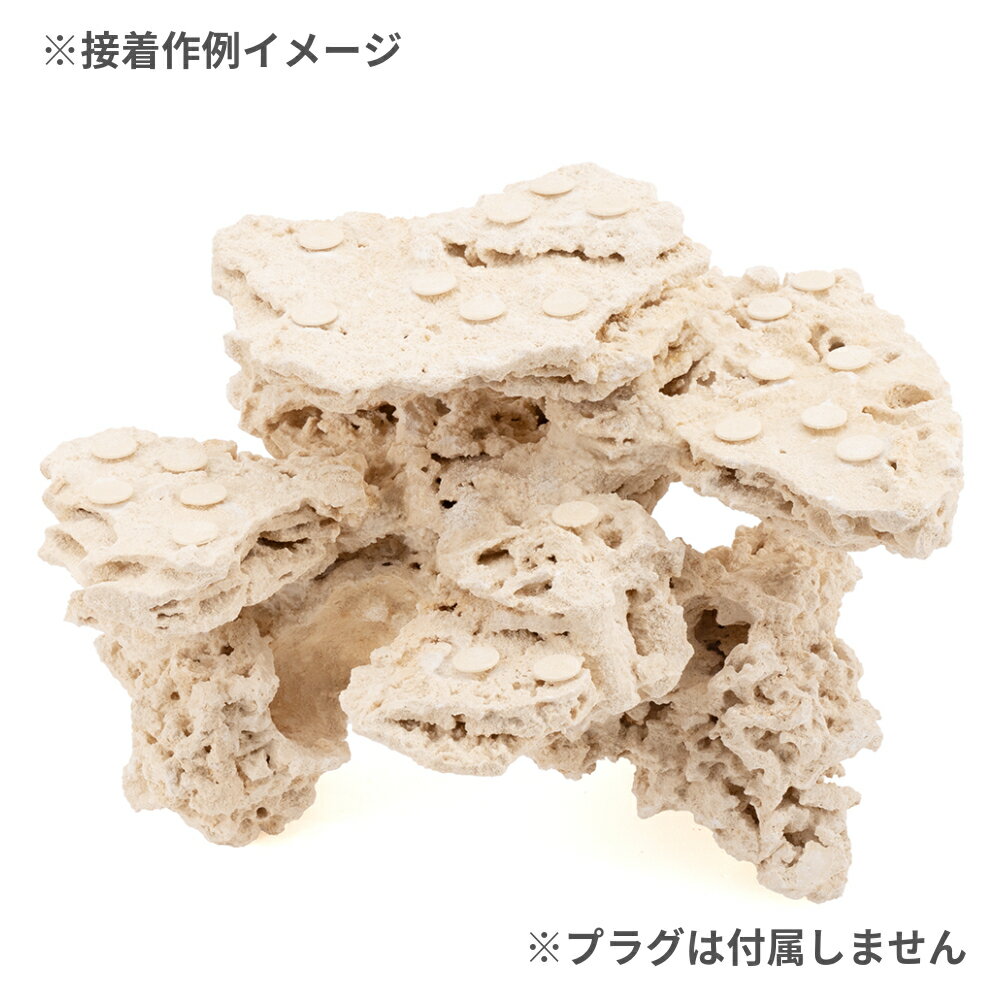 �ޥ륳���å���������ա�6045�����ѥ������ॻ�å�