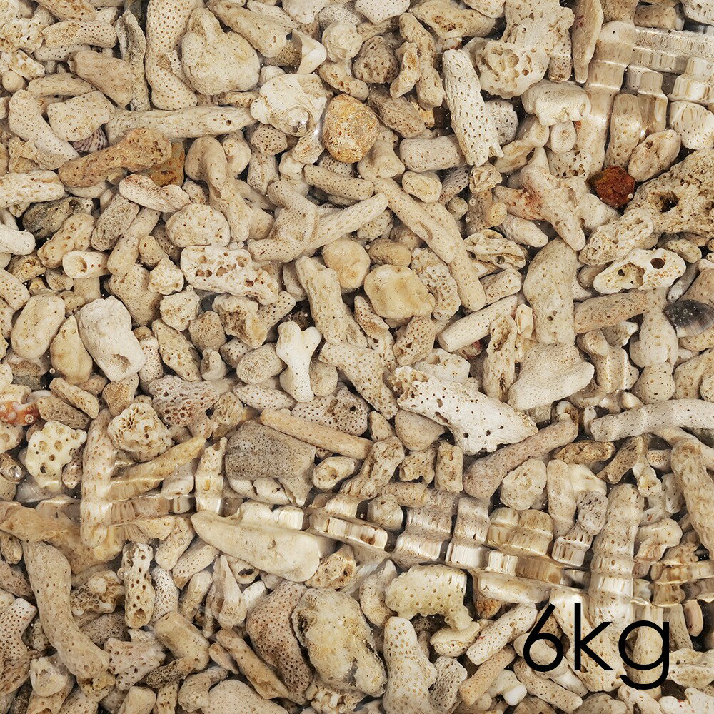 メーカー直送　60日熟成　ライブ　コーラルサンド　＃15（6kg）　同梱不可　送料無料