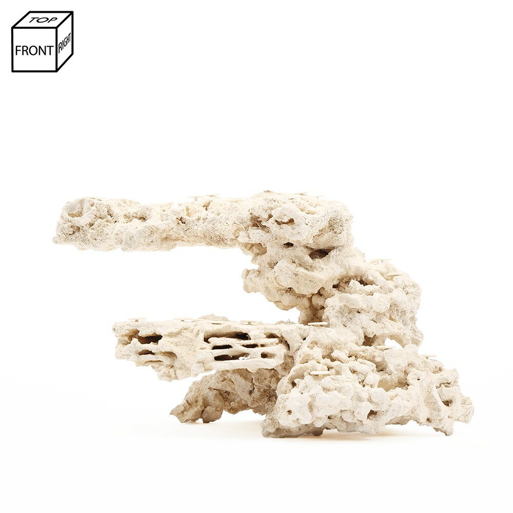 ����ʪ���ޥ륳���å�����������ե饰�١�����542219�����������å�����������ѡ��������С��ǥ����å������Х���