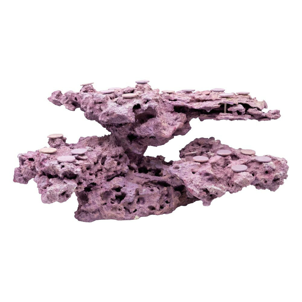 ����ʪ���ޥ륳���å�����������ե饰�١������ꥢ���åɥ����ƥ��󥰡�������ա�542468