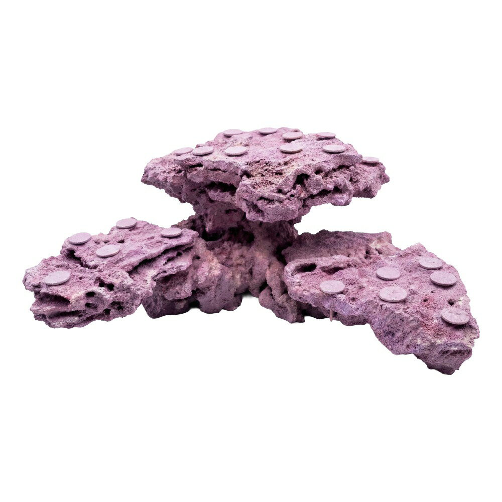 ����ʪ���ޥ륳���å�����������ե饰�١������ꥢ���åɥ����ƥ��󥰡�������ա�542469