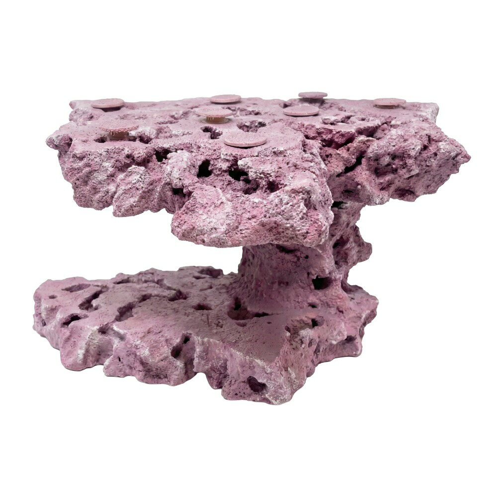 ����ʪ���ޥ륳���å�����������ե饰�١������ꥢ���åɥ����ƥ��󥰡����饤���ϥ󥰡�542472