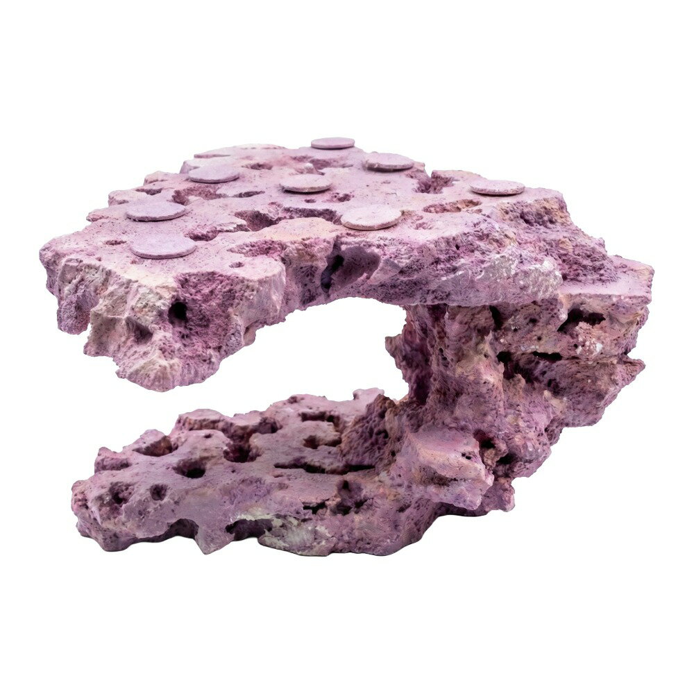 ����ʪ���ޥ륳���å�����������ե饰�١������ꥢ���åɥ����ƥ��󥰡����饤���ϥ󥰡�542473