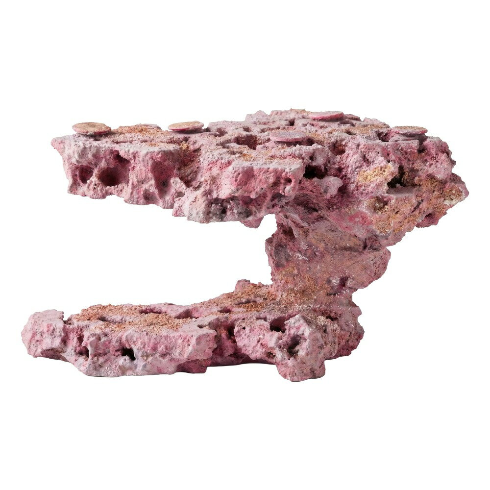 ����ʪ���ޥ륳���å�����������ե饰�١������ꥢ���åɥ����ƥ��󥰡����饤���ϥ󥰡�542474