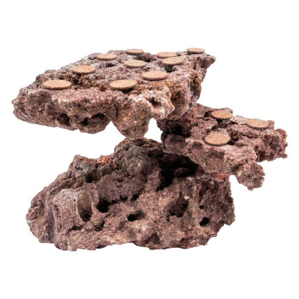 ����ʪ���ޥ륳���å�����������ե饰�١����������饤���åɡ����饤���ϥ󥰡�542477