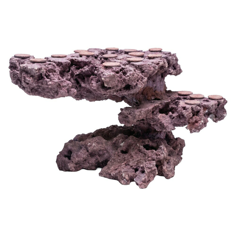 ����ʪ���ޥ륳���å�����������ե饰�١����������饤���åɡ����饤���ϥ󥰡�542480