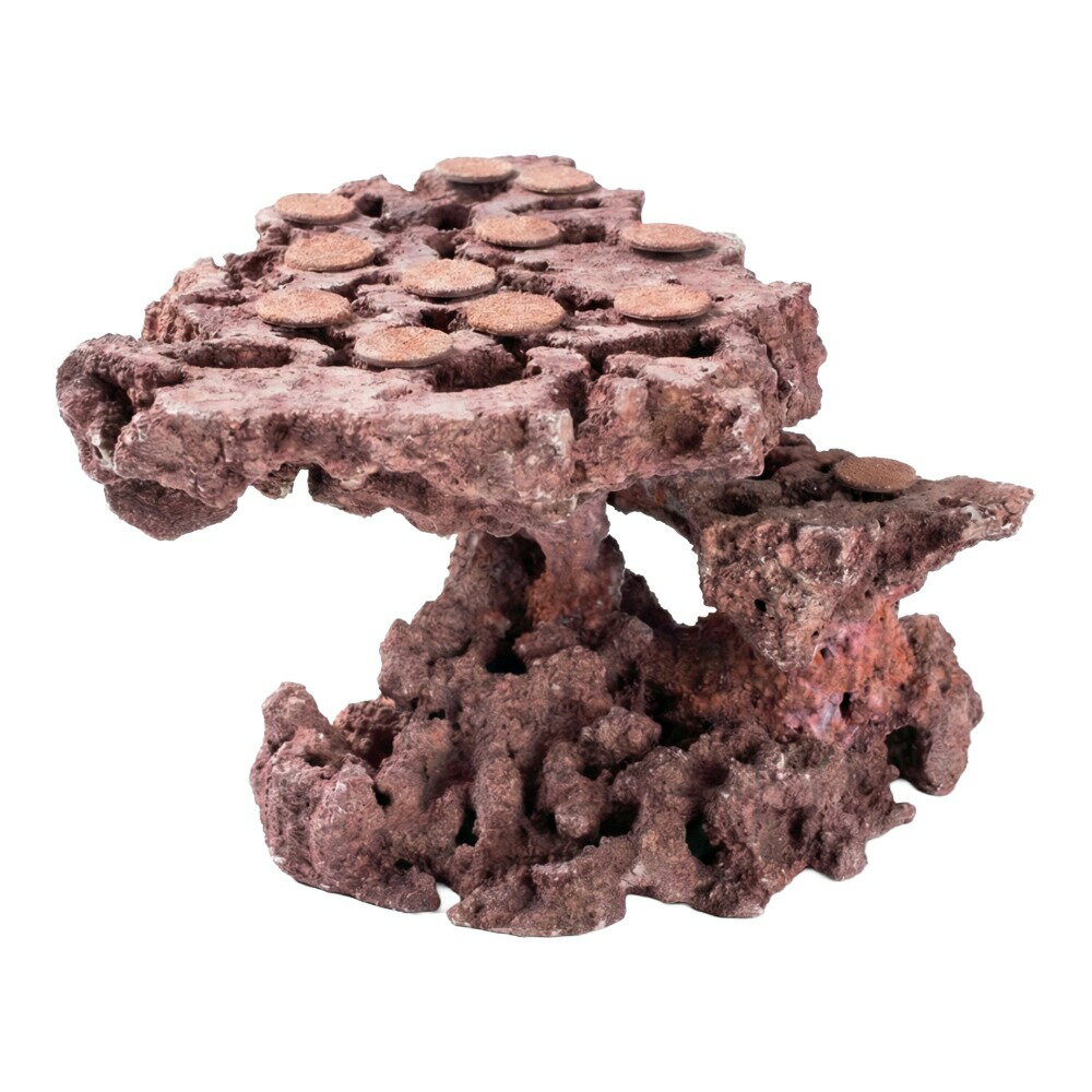 ����ʪ���ޥ륳���å�����������ե饰�١����������饤���åɡ����饤���ϥ󥰡�542481