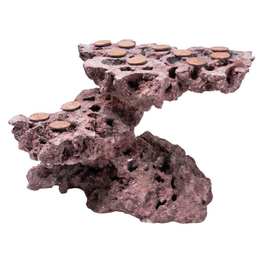 ����ʪ���ޥ륳���å�����������ե饰�١����������饤���åɡ����饤���ϥ󥰡�542482