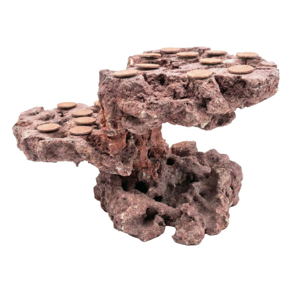 ����ʪ���ޥ륳���å�����������ե饰�١����������饤���åɡ����饤���ϥ󥰡�542483