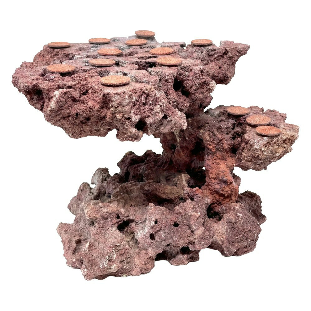 ����ʪ���ޥ륳���å�����������ե饰�١����������饤���åɡ����饤���ϥ󥰡�542484