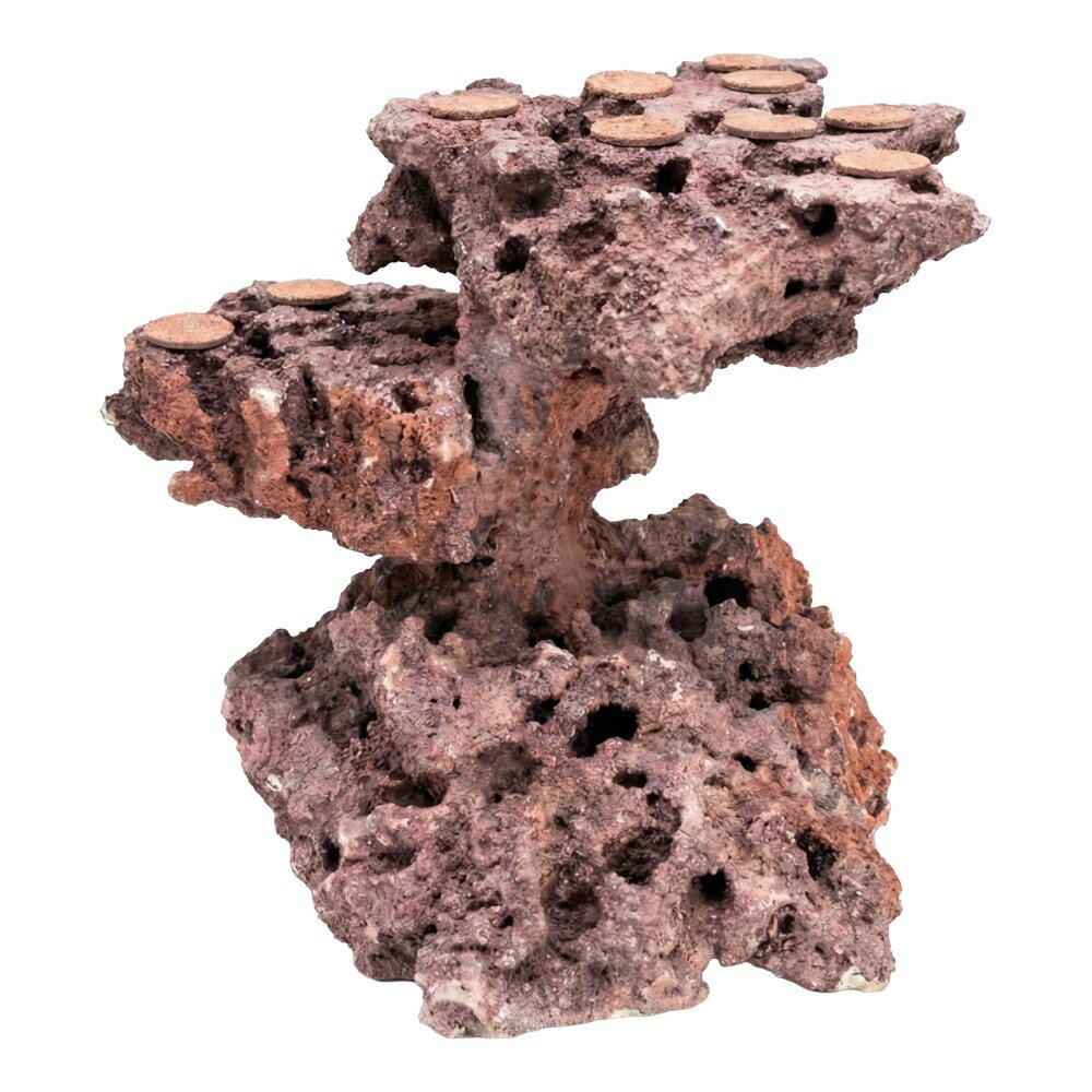 ����ʪ���ޥ륳���å�����������ե饰�١����������饤���åɡ����饤���ϥ󥰡�542486