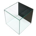 クリスタルキューブ300(30×30×30cm)バックスクリーン(ジェットブラック)貼付済み 30cm水槽 小型水槽 ガラス水槽