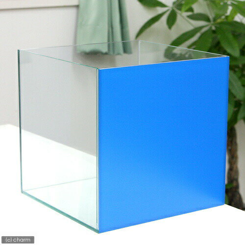 ���ꥹ���륭�塼��300��30��30��30cm�˥Хå������꡼��ʥ������֥롼��Ž�պѤߡ�30cm���塡�������塡���饹����