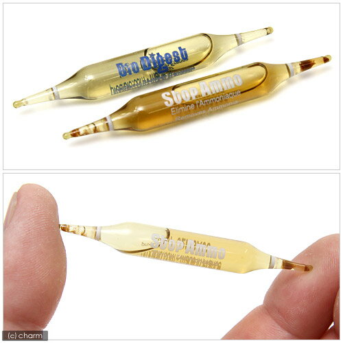 PRODIBIO���������ȥ��åס�ø�塦����ξ�ѡ�12�����ꡡ����Х��ƥꥢ�������˥����������