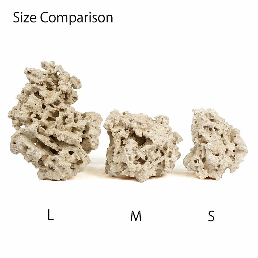 �ޥ륳���å����꡼�ե����С������å���Edge�ˡ�M��������16��20kg����������ѡ��������С��ǥ����å������Х���