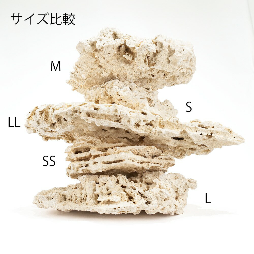 �ޥ륳���å���������ա�L��������20kg���åȡ���������ѡ��������С��ǥ����å������Х���