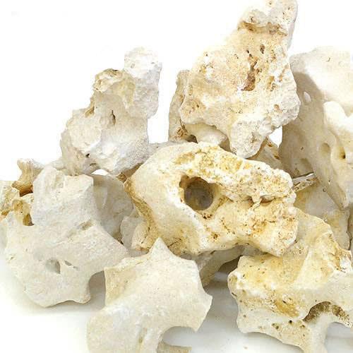 本物の、大昔のサンゴの化石！ 化石サンゴ　Sサイズ（約15〜20cm）　1個 対象 淡水・海水両用 特長 ●大昔のサンゴの化石を、大胆にもそのまま用いたレイアウト用ストーンです。 ●穴の開いたものや複雑に入り組んだ形状のもの、表面のなだらかなものなど多種多様な形状が見られます。 ●かつてサンゴ礁を形成していた名残として、表面にサンゴの骨格の一部が構造や模様として見られるものが含まれることもあります。 ●一般的なレイアウトストーンに比べ硬度・pHを上昇させやすく、アフリカンシクリッド等のアルカリ性の水質を好む熱帯魚や、汽水魚に最適です。 ●アヌビアスやバリスネリアなど、アルカリ寄りの水質でも栽培可能な種類を選べば、太古のサンゴと現代の水草が織りなす独創的なレイアウトを楽しむことも可能です。 ●レイアウトストーンとしては珍しく、海水水槽でのサンゴの土台やレイアウトにも最適です。表面はザラザラとしており多孔質で、石灰藻が付着すればライブロックのような役割を果たすことも期待できます。 ●各サイズを組合わせることで、より複雑で立体的なレイアウトをお楽しみいただくこともできます。●アクアリウムとしての用途以外にも、テラリウムやビバリウムにもお勧めです。置くだけで南国の海辺のような雰囲気を再現することができ、オカヤドカリや海浜植物を中心としたレイアウトには打ってつけの素材です。 数量 1個 サイズ（約） 最大辺：15〜20cm程度 ※天然の化石サンゴですので、形状や色味にはバラツキがございます。予めご了承ください。 ご注意 ※本品は観賞魚用品です。目的以外の用途では使用しないでください。 ※本品は一般的なレイアウトストーンに比べ硬度・pHを上昇させる作用がやや強く、弱酸性の軟水を好む熱帯魚・水草には不向きとなります。 ※サイズは形状により表示寸法と多少異なる場合がございます。予めご了承ください。 ※ご使用の前に水洗いし、必要に応じてブラシ等で汚れを落としてから水槽に入れてください。 検索用キーワード化石サンゴ　Sサイズ　約15〜20cm　1個　流木　石　アクア用品　レイアウト素材　レイアウト　素材　熱帯魚　アクアリウム　パルダリウム　コケリウム　アクアテラリウム　水槽用アクセサリ　隠れ家　かくれが　水草レイアウト　ネイチャーアクアリウム　レイアウトストーン　飾り石　岩　自然石　天然石　石組レイアウト　岩組レイアウト　海水魚　スカルコーラル　海水水槽　ベースロック　アフリカンシクリッド　土台　アフシク　弱アルカリ　タイドリウム　石灰岩　マリンアクアリウム　ベース用　磯　海岸　汽水魚　オカヤドカリ　海辺植物　海浜植物　leafnewjan　_aqua　4580295165401　sk0311_n　QD5WyoNX_rbkis　opa2_none　line22115aqua