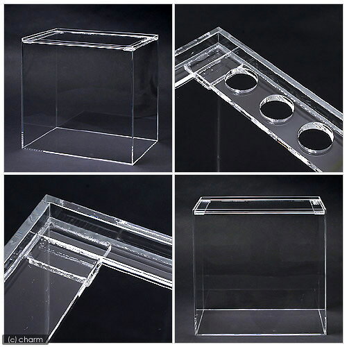 plantstech楽天市場店の水槽　アクリル水槽　ラクシス　No．33　（450×300×450mm）　45cm水槽｜アングル2