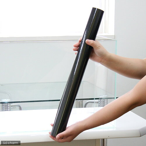 plantstech楽天市場店のバックスクリーン　ARTI（アルティ）60　クリアグレー（65×50cm）｜アングル2