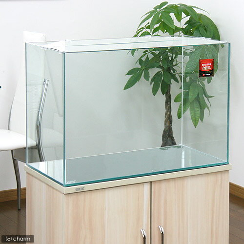 GEX ガラス水槽 グラステリア600 (60×30×40) 60cm水槽(単体) ジェックス