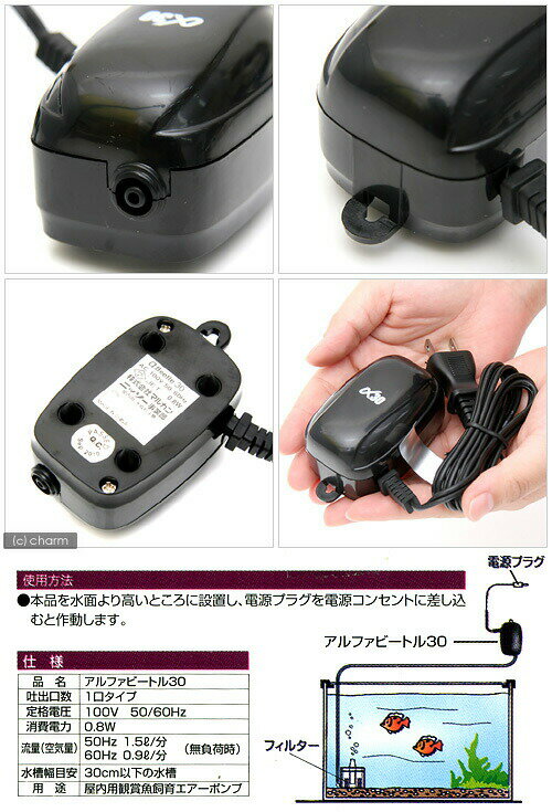 �˥å������������ݥ�ס����ӡ��ȥ롡30����30cm�����ѥ������ݥ��