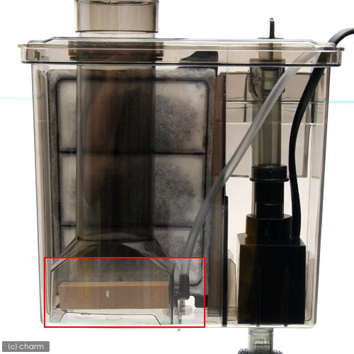 ���ѡ����ߥϥ�����ƻ��Ƹ���ץ��ƥ��󥹥��ޡ������ѥ��åɥ��ȡ����硡�ʥ�������եȼ���