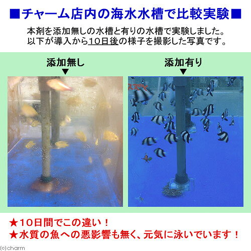 ゲルマニウムパワー　NEW茶ゴケしらず　淡水・海水両用　200ml（4000L分）　茶ゴケ...