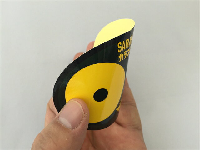 [����ȥ꡼��P+5��] ���饹 ���� �ȥ�� �к����ƥå��� SARABA���饹���� ���ƥå���2������ �̳�ƻ�Ķ��Х����������� Ȫ ���߼������ ���߼Τƾ� �٥��� ���졼��