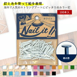 若井産業 NF1000 ネイルイット用 カラー釘 #17（太さφ1.47mm）×長さ:19mm（100本袋入り） 選べるカラー