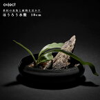 ovject オブジェクト O-IKEBANA18-LO ほうろう水盤 18cm アイアンブラック ［商品に倒木と植物は含まれません］ 阪和ホーロー デザイン小物 水ばん