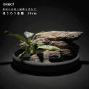 ovject オブジェクト O-IKEBANA30-LO ほうろう水盤 30cm アイアンブラック ［商品に倒木と植物は含まれません］ 阪和ホーロー デザイン小物 水ばん