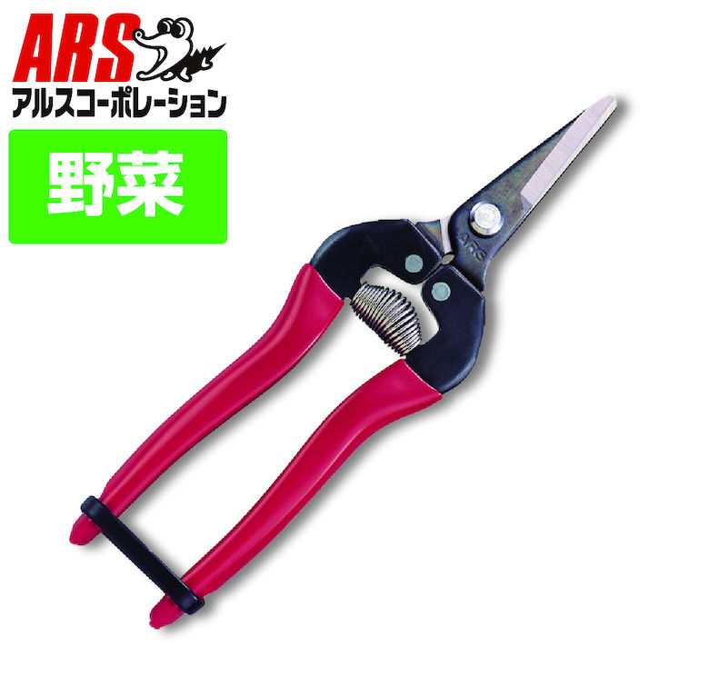 [6ȥ꡼P10] 륹 300S-BP ŦS硼ȥ 175mm ʥ֥ꥹѥå Ŧβμ